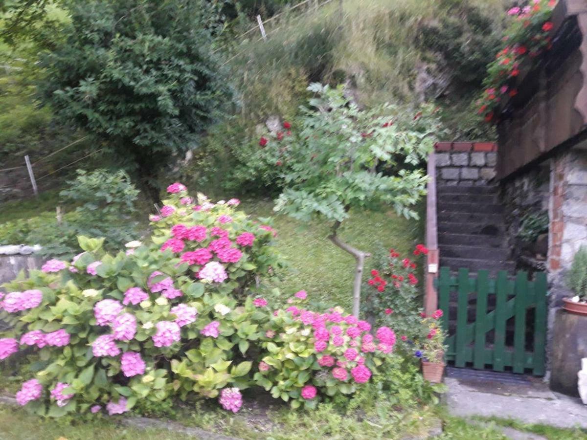 Casetta Indipendente Nel Verde Per 2/3 Persone Breguzzo Buitenkant foto